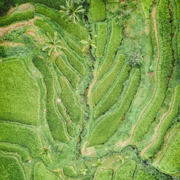 Outdoor terrace seating suitable for families in Barcelona